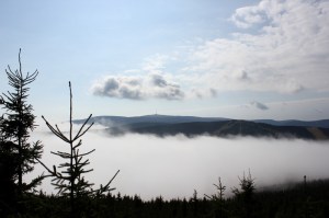 IMG_8648