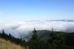 IMG_8704