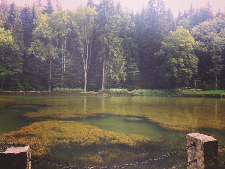 21208911_1592508467446448_730291218_n